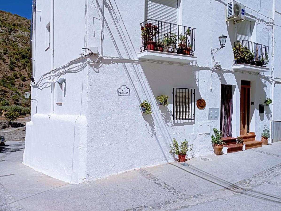 El Almendro De Maruja Apartment Torviscón Екстериор снимка