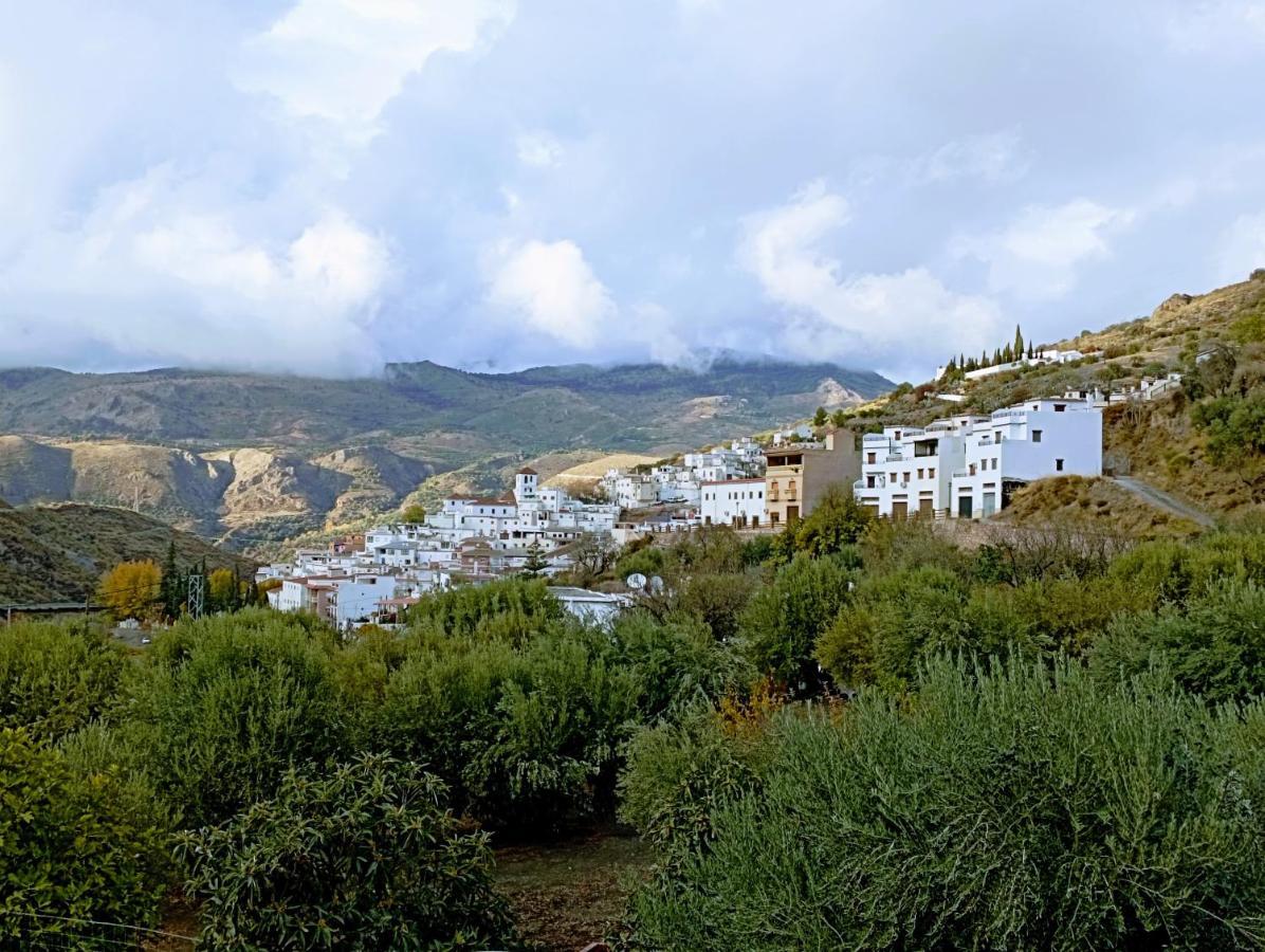 El Almendro De Maruja Apartment Torviscón Екстериор снимка